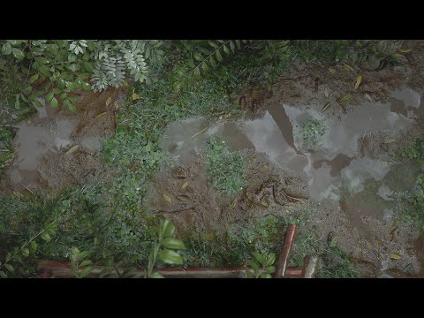 Unreal Engine 5 - Raining in Jungle part 2