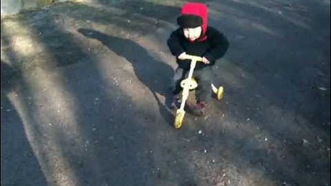 Scuttlebug in the park