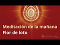 Meditación de la mañana: &quot;Flor de loto&quot;, con Guillermo Simó.