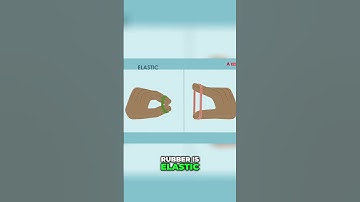 Understanding Muscle Stretching: Elastic vs Viscoelastic