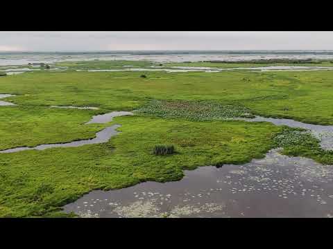 NEW LISTING | Terrabonne Parish | 1,123 +/- acres