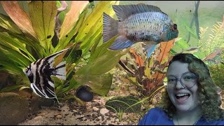 Fintastic Tuesday: The Fishroom Tour