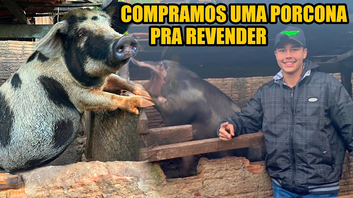 COMPRAMOS UMA PORCA GIGANTE DO Sr. DÍONISIO