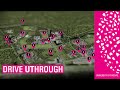DriveUThrough aftermovie