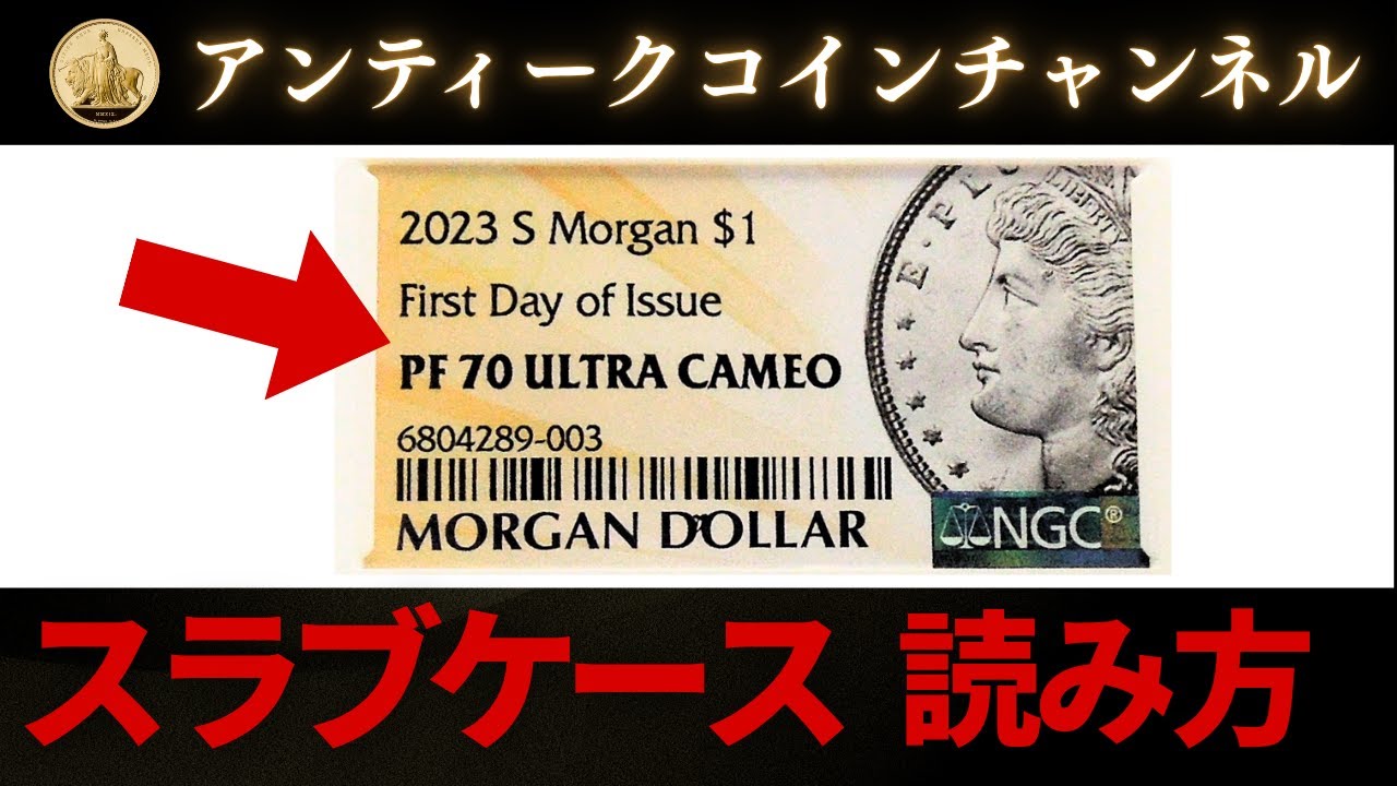 保存版】コイン収集に必須の知識！スラブケース・グレードの読み方を徹底解説【NGC,PCGS】 | スラブコイン