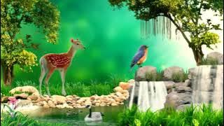 background animasi 3G no kopyright | lagu anak indonesi | potong bebek angsa
