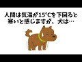 犬の寒さの基準
