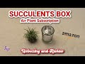 SUCCULENTS Box AIR PLANT Subscription Box from AMAZON!