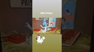 Looking for a husband?  Miss Prissy is too.