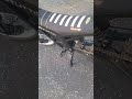 if yk yk #ebike #edit #surron #talaria #viral