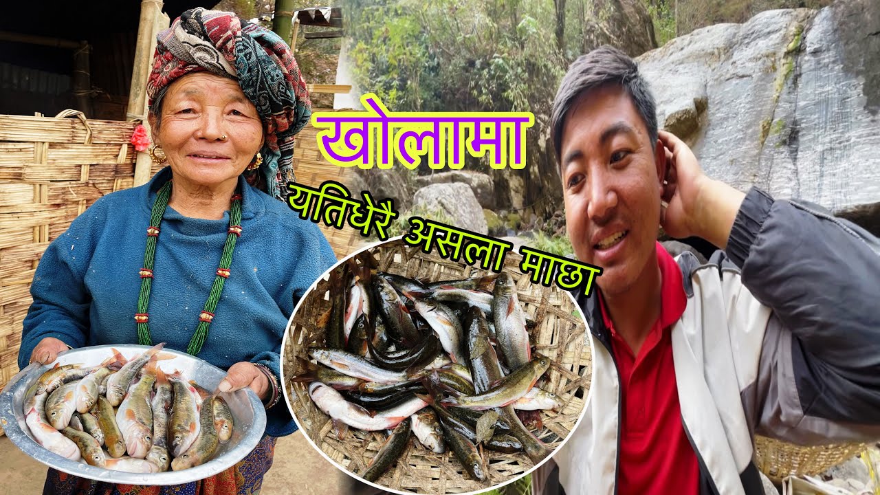 यतिधेरै असला माछा एउटै दहमा । घरमा सबैजना मिलेर माछा खाईयो ! Fishing Danger River Nepal ! 