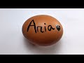 The Ultimate Raw Egg Peeling Showdown