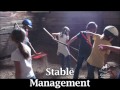 Equine Sports' Summer Horse Camp for kids.mov