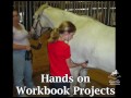 Equine Sports' Summer Horse Camp for kids.mov