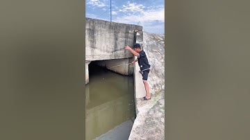 Câu Cá Tại Cống Được Cá Rô Đồng Siêu To #trainghiem