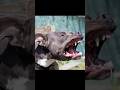 Vicious pitbull attacks group of young girls Downtown Nashville TN