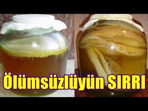 Video: Çay Göbələyi