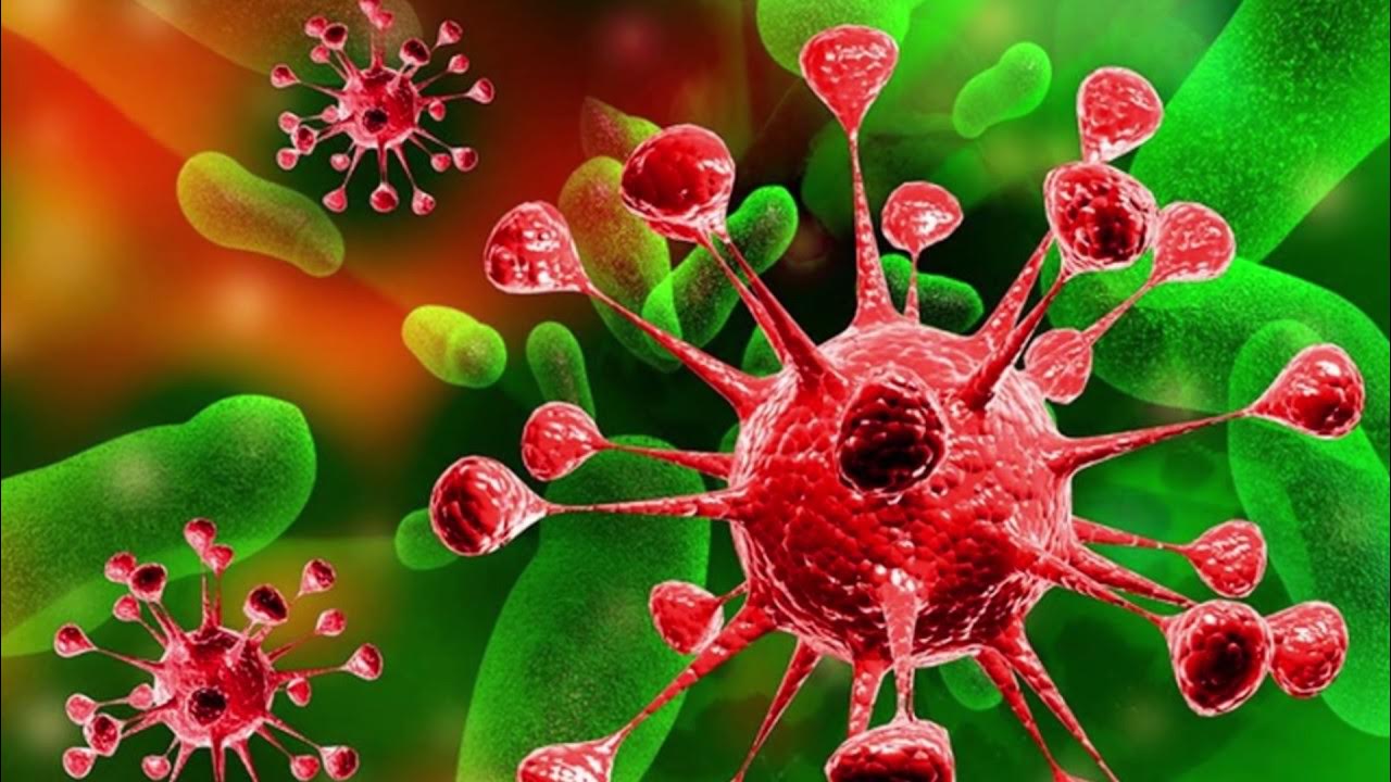 Ranura de virus