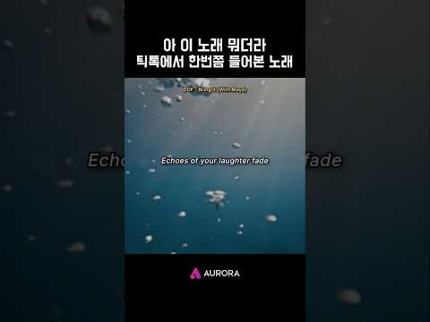 틱톡에서 한번쯤 들어본 노래 DOF BringIt 한이서 현재진행형