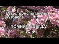 Помним всегда