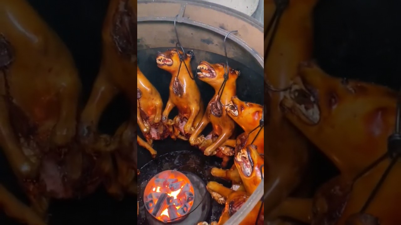 Korean street food. fried DOG. #streetfood #korea #japan #china #thailand #2023 #dog #dogs #shorts