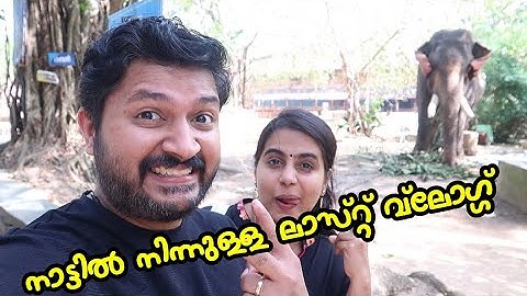 നാട്ടിൽ നിന്നുള്ള ലാസ്റ്റ് വ്ലോഗ് - Vlog# 168