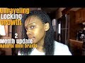 2 month natural mini braids update| growth locking unraveling