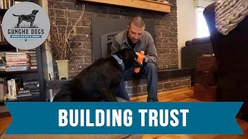 #1 Trick To Building Trust With Your Dog