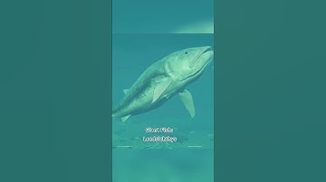 Upcoming playable creatures in Path of Titans 🤯 #dinosaur #pathoftitans #jurassicworld #gaming