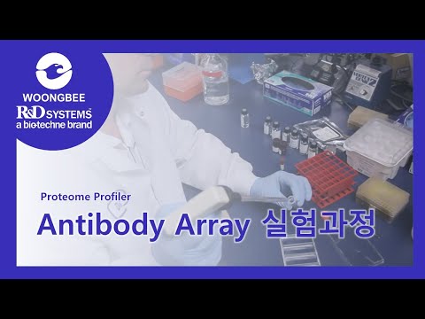 R&D Systems®: Proteome Profiler Antibody Array 실험과정 (공식대리점: 웅비메디텍)