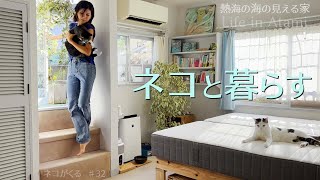 #32 猫と暮らす｜部屋に合わせてベッドを作り直す｜Life in Atami