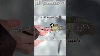 سبحان من رزق الطيور وهي في السماء سبحان الله ??