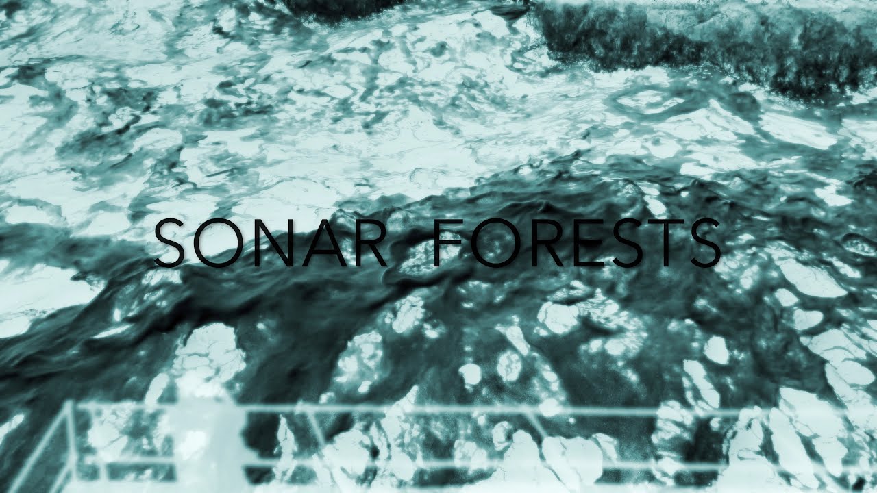 Watch Laura Cannell - SONAR FORESTS (Official Video) on YouTube Watch Laura Cannell - SONAR FORESTS (Official Video) on YouTube