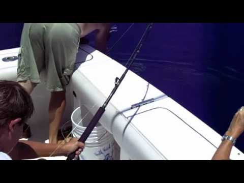 William's First Blue Marlin