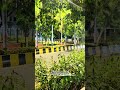 Night mode in Baramati in summer be like 💕 #amachibaramati#loveforbaramati #baramati #baramatikar✌️