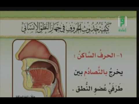 كيفية حدوث الحروف في جهاز النطق الانساني ج 1 تعريف الحرف الحرف الساكن والمتحرك برنامج الاتقان