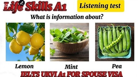 IELTS LIFE SKILLS EXAM A1 listening test 2025 no 1289