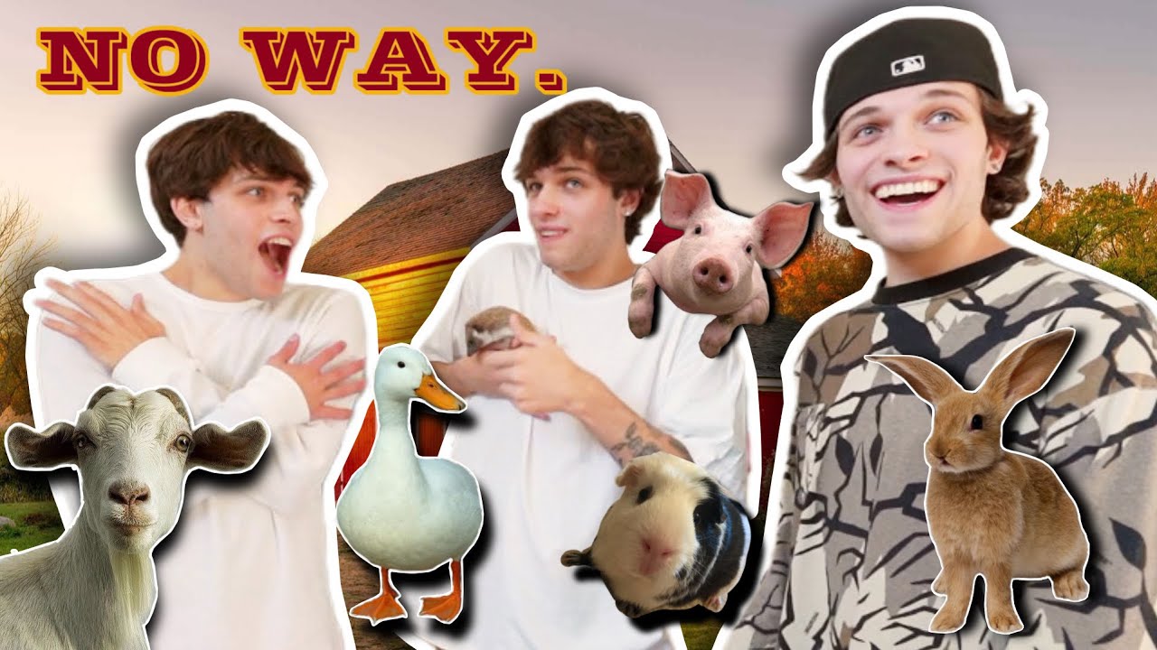 МЫ ПРЕВРАТИЛИ НАШ ДОМ В АМБАР (и шокировали Ника)