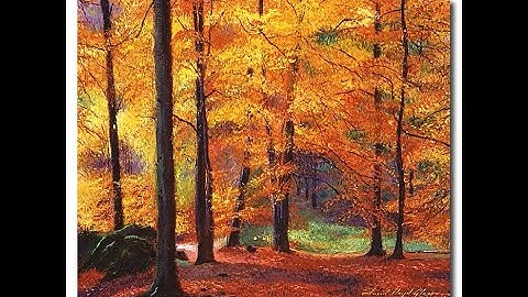 October 2025 Video Newsletter