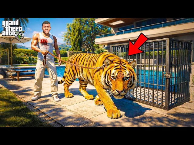 Franklin Found a Bengal Tiger Inside His House 😱 | GTA 5  | Dhanu Dino | Shin Chan in Telugu