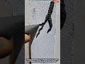 Creating Wall Art Using Cement Freehand Technique