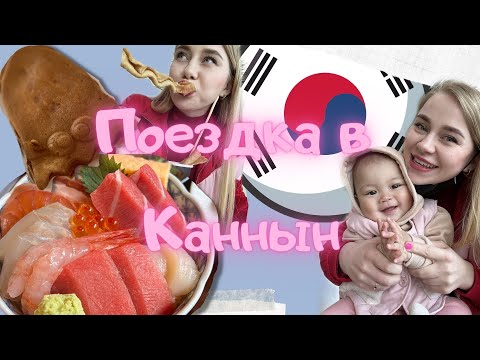 [Sub]Поездка в город Каннын / Междугородние остановки в Корее/ korea vlog