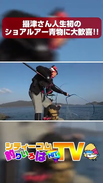 釣りいろは