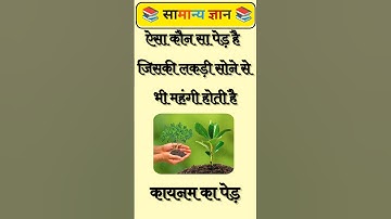 GK in Hindi – सामान्य ज्ञान प्रश्न 2025 #gk #sarkarinakurigk #shorts #reels