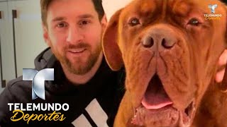 Messi Le Da Un Paseo A Su Perro Hulk La Liga Telemundo Deportes