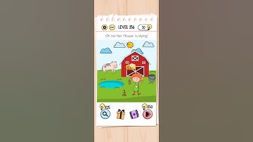 Brain test level 256 Walkthrough Solution Answer Android ios