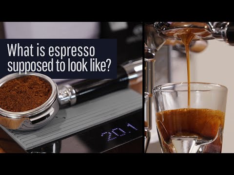What is espresso supposed to look like?