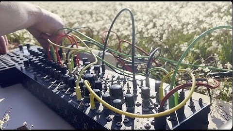 Floral Rhythms - Live Improvisation on a Digitakt and an Endorphines Shuttle System