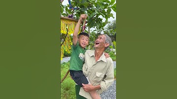 Em bé hái kẹo cầu vồng cho ông nội tội nghiệp ăn #shorts #baby #cute