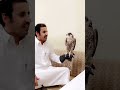 لا تكحل يا اريش العين هادي بن جابر لا تكحل يا اريش العين هادي بن جابر